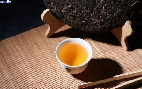 平仄普洱茶紧压茶-普洱紧压茶标准