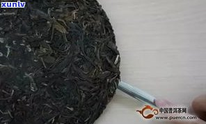 普洱茶怎么挖不会碎？教你正确撬开茶叶，减少渣量