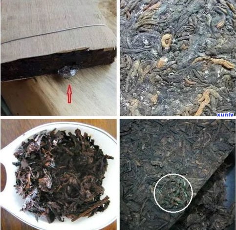 是劣质普洱茶的特点：危害与识别 *** 