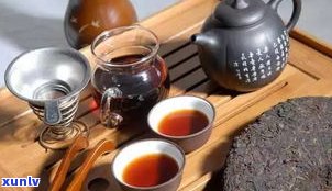 普洱茶各茶区区别：口感、分布与独特之处