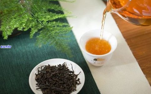 海南所有茶品种全览：品种、名称及分类一网打尽