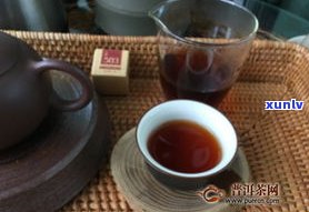 普洱熟茶买什么牌子好？精选品牌推荐与口感评价