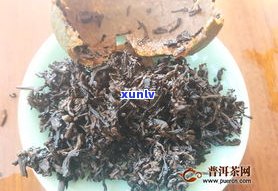 凤合堂普洱茶熟茶怎么样？口感、品质全面评测！