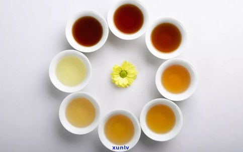 全面解析普洱熟茶的茶性、特点与特征