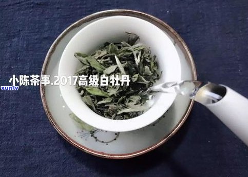 普洱白毫银针多少钱一斤？了解其单价与分类