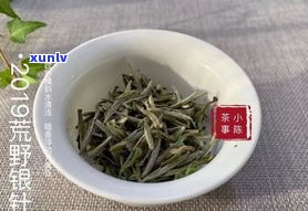 普洱茶白毫银针茶-普洱白毫银针功效