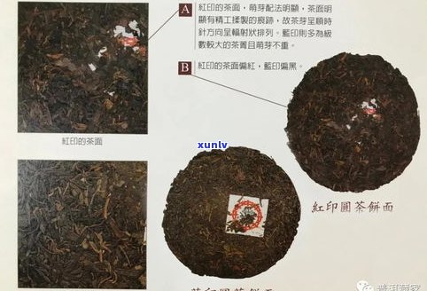 揭秘普洱茶假货：特征、图片及颜色全解析，市面上真伪如何区分？