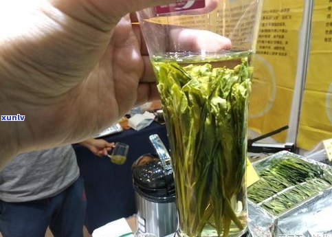 抹茶和普洱茶可以-抹茶和普洱茶可以一起泡吗