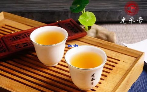 普洱茶是茉莉茶吗？原因解析：口感、香气、价格对比，哪个更好？