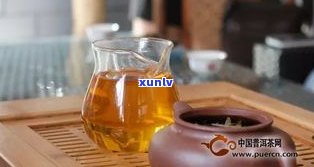 普洱茶是茉莉茶吗？原因解析：口感、香气、价格对比，哪个更好？