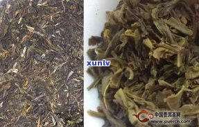 普洱茶的花蕾茶图-普洱茶花蕾的功效