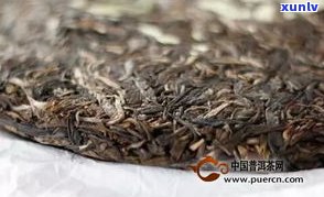 布朗春韵普洱茶价格357克：2019年特制生茶定制款价格全解析