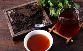 什么是普洱茶老茶-什么是普洱茶老茶头