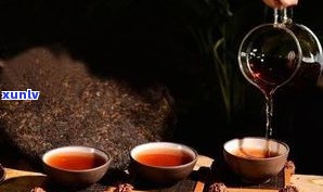 普洱茶茶语解析：你不知道的普洱茶文化秘密