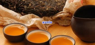 深度解析：临沧普洱茶特点与口感，你真正了解吗？