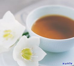 普洱茶：药材、植物、茶叶还是药茶？探讨其多重身份与特性