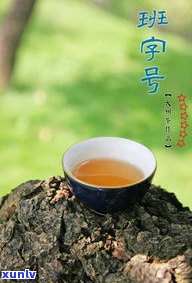 黑茶与普洱茶关系-黑茶与普洱茶关系大吗