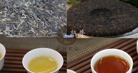 普洱茶喝生茶好吗-普洱茶喝生茶好还是熟茶好