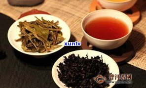 普洱：散茶与饼，哪种更好？