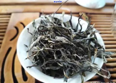 普洱：散茶与饼，哪种更好？