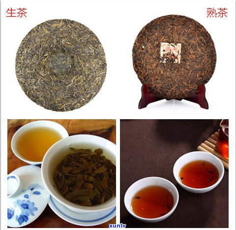 普洱茶散茶是熟茶吗？熟茶与生茶的区别解析