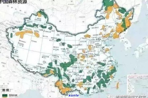 普洱茶小叶种的特点及其产区解析