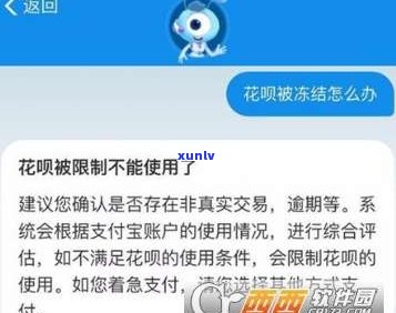 花呗借呗逾期后会起诉吗？解决方案及应对策略