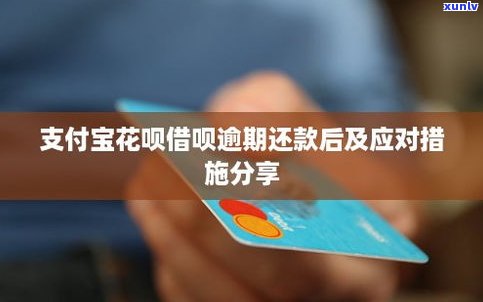 花呗借呗逾期后会起诉吗？解决方案及应对策略