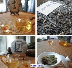 普洱茶图片茶博会-普洱茶图片大全