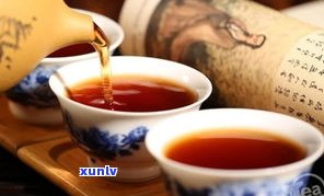 普洱茶中各大茶区的含义与特点全解析