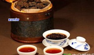 普洱茶：药材、植物还是药茶？探讨其身份与特性