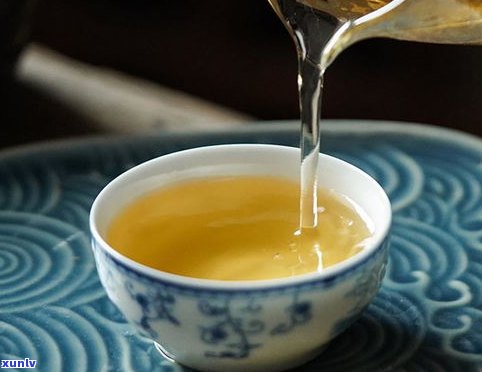 深入了解古树茶普洱茶的特点与魅力：全面介绍及精美图片