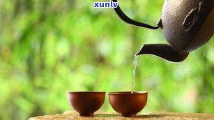 火凤凰是什么茶？揭示其品种、茶类与品牌信息