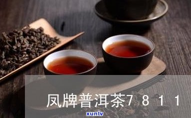 普洱茶碎茶怎么喝-普洱茶碎茶怎么喝更好