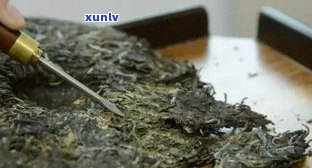 普洱茶中出现茶虫？正确处理 *** 大揭秘！