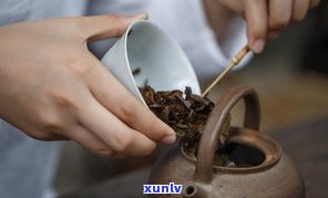 喝普洱茶如何正确洗茶叶？详细步骤及视频教程！