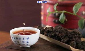 普洱老茶有哪些出名的品种、品牌、产地与特色？