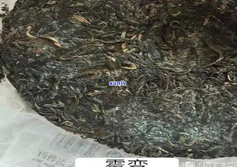 广东仓茶和普洱茶-广东仓茶和普洱茶的区别