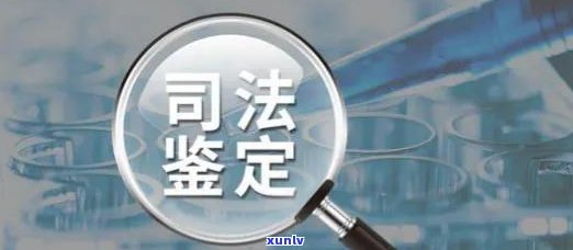 花呗说要走法律程序：真相、作用及应对措施