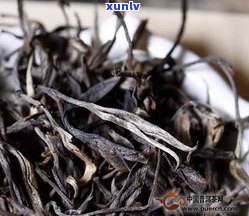 普洱茶熟茶散茶的级别划分及其特点：饼状还是散状更好？