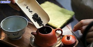 普洱茶洗茶：多少水合适？不同情况有讲究