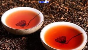 2017的普洱茶还能喝吗？过期了吗？为什么品质好？