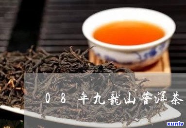 2007年普洱茶叶：是不是能喝？价值怎样？价格多少？