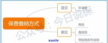 花呗可以协商还款方法：熟悉常见分期选项与操作流程