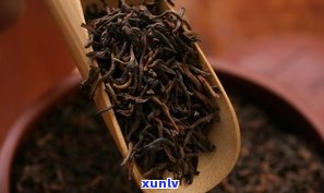 普洱茶最早期的茶是什么？颜色、形态与类型全揭秘！