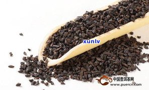 普洱茶是茶化石吗？它如何形成的，与普通茶叶有何不同？