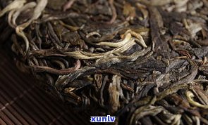 源字号普洱茶生茶-源普洱茶怎么样