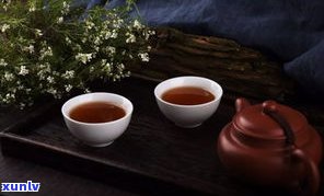 普洱茶是青龙茶吗-普洱茶是不是青茶