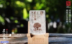 普洱茶中华老字号：百年传承的品牌故事与历史资料