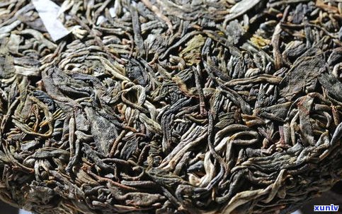 普洱茶中树生长年限探究：多少年生的普洱茶才称得上中树？